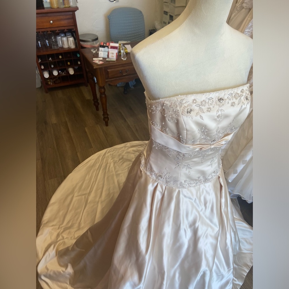 Jasmine Wedding Dress - Picture 8 of 12